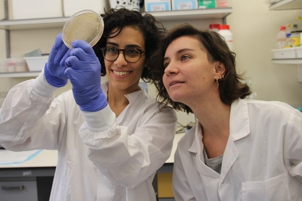 two female scientists looking at a petridish in the lab.