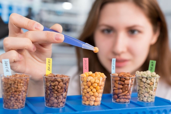A woman testing beans in a lab.