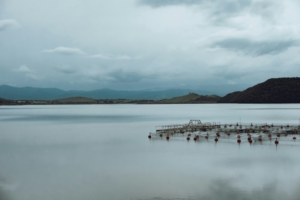 Fish farming.