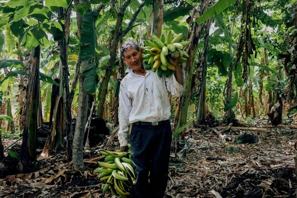 Image A man holding bananas in a forrest.