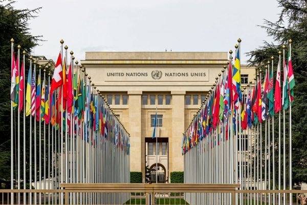 Image UN building behind two rows of international flags