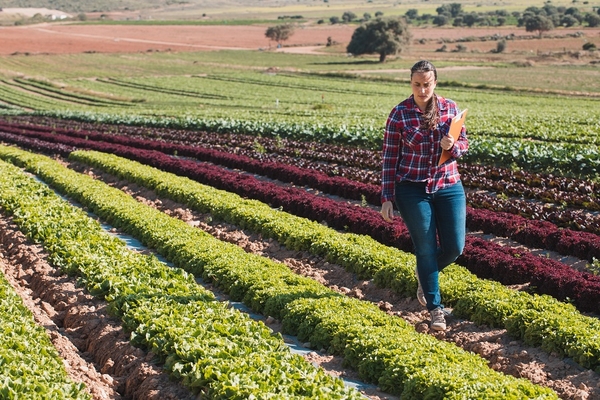 Image a young woman inspecting an agricultural field.