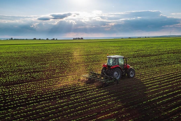 Tractor farming in field.