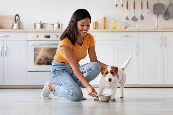 Pet nutrition