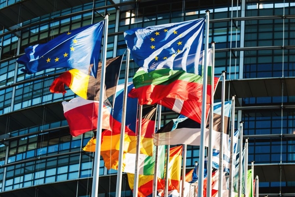Image EU Flags