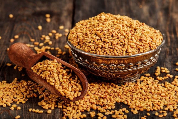 Fenugreek seeds