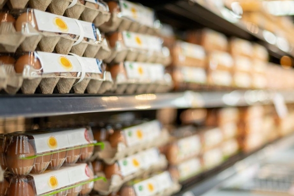 Image Eggs on shelf in store
