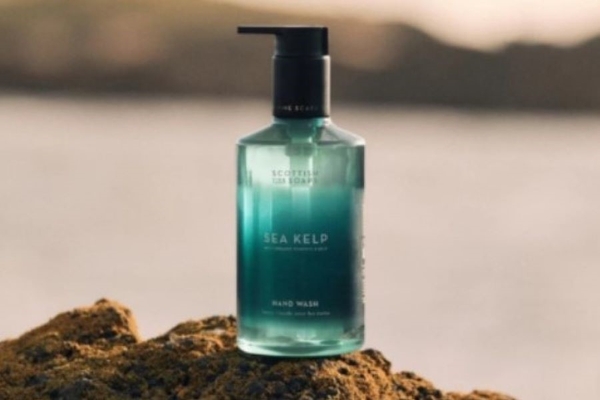 Image Bottle of sea kelp formula on rock with ocean behind