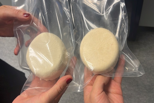 Image Researchers have developed a hybrid paneer with 25% pea protein.