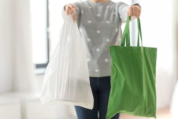 Image A person holding a fabric bag and a plastic bag