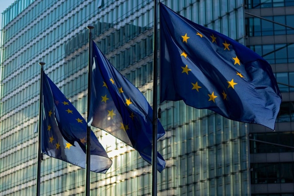Image eu flags outside parliament building