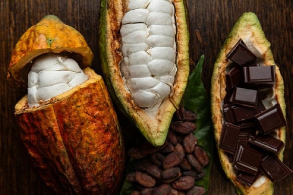 Image cacao pods