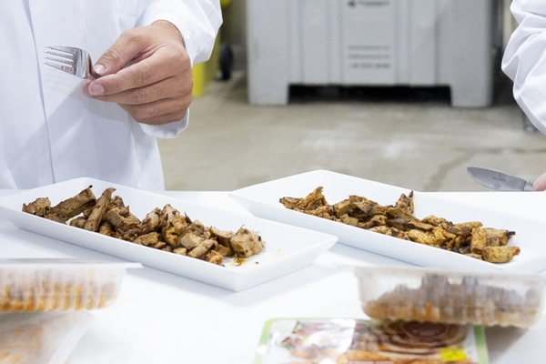 Image fungi based meat chunks in white rectangular plates with a hand holding fork over them