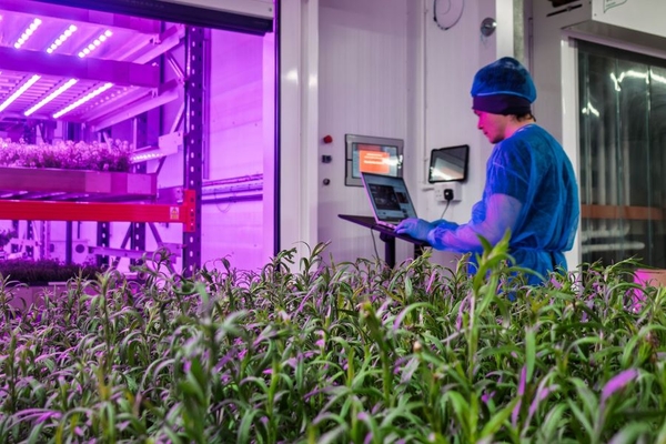 Image Vertical farm growth operator.