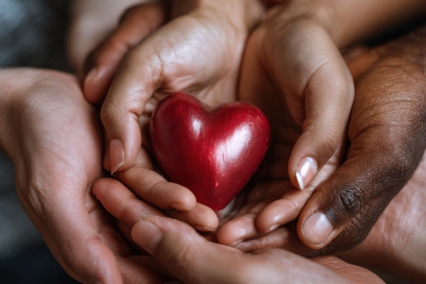 Image A close-up shot captures diverse hands cradling a vibrant red heart
