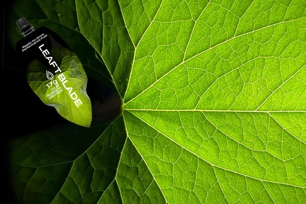 Leaft Foods Rubisco protein