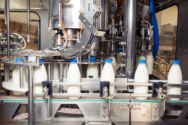 Image Bottled milk on a production line.