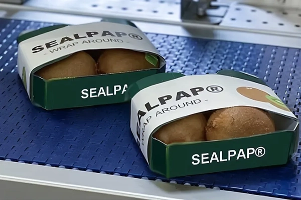 Image Two boxes of food on a conveyor belt.