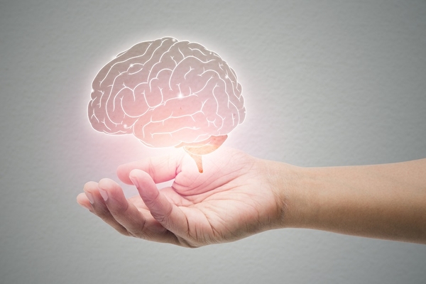 Image Illustration of a brain