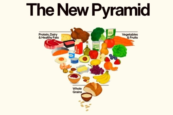 Image Illustration of new food pyramid