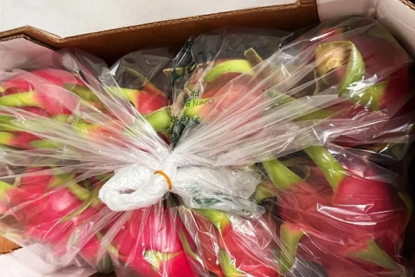 Image Dragon fruits wrapped in films and boxes