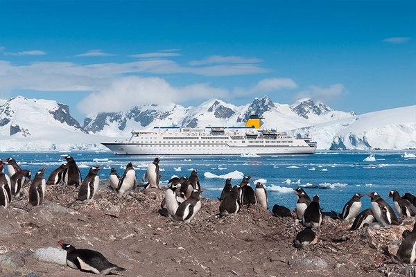 Antarctica penguins and cruise ship