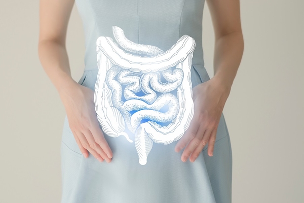 Digestive system diagram Digestive system diagram