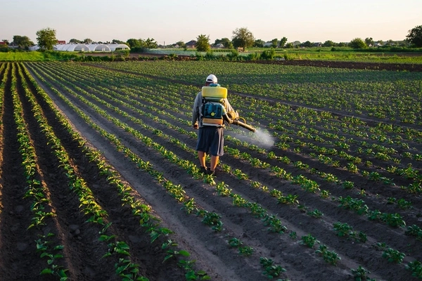 worker with sprayer in field worker with sprayer in field