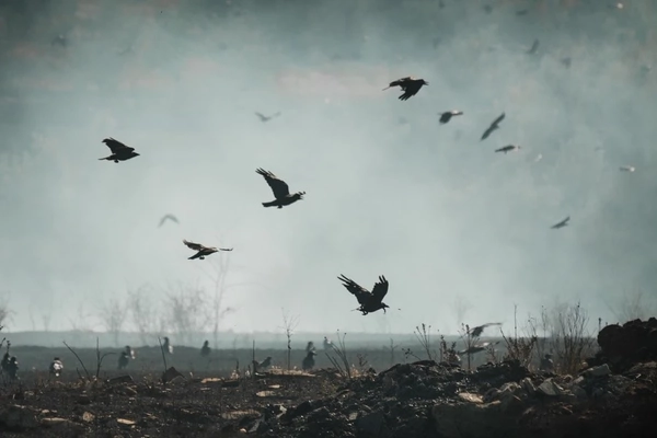 Ukraine field burned by shelling.