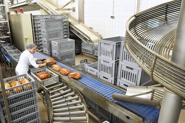 female worker inside bread factory woman in white shirt and pants in bakery factory with bread on conveyor belt