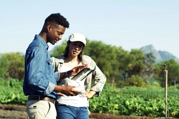 Image Two people checking soil health in the field