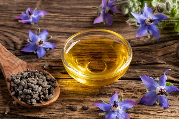 borage oil, seeds and flowers a bowl of borage oil with borage seeds and flowers