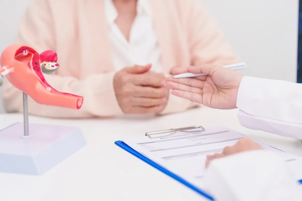 Image patient consults with doctor with vagina model on table