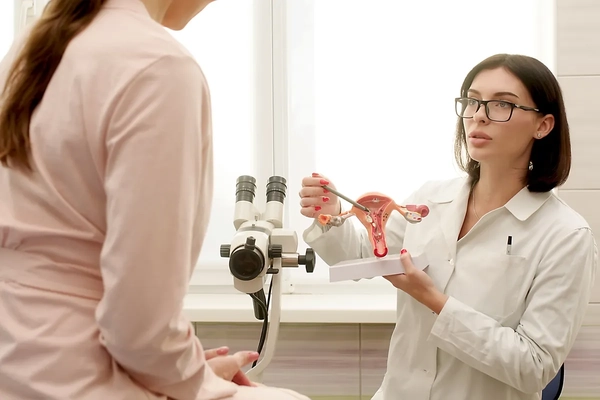 A gynecologist explains female diseases to a patient using a plastic model of the uterus in a modern clinic