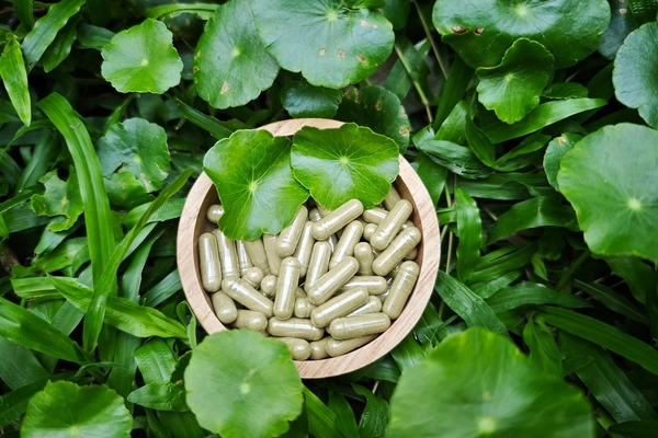 Ginkgo biloba supplements Ginkgo biloba supplements