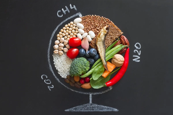 Food products good for health and planet, globe abstraction with greenhouse gases on chalkboard, planetary health diet concept