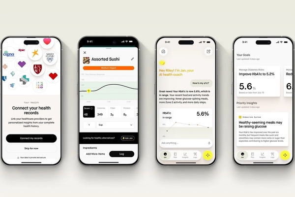 January AI app interface