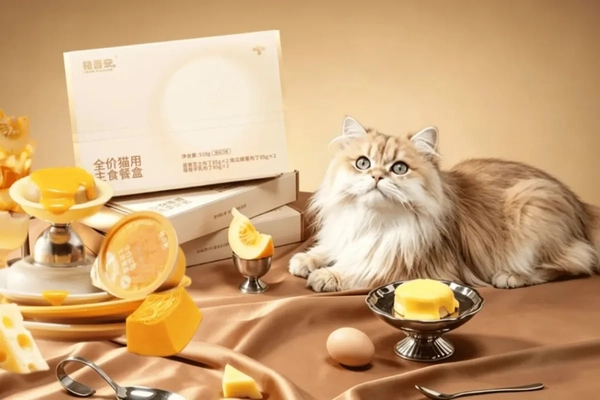 Image A cat with pet food